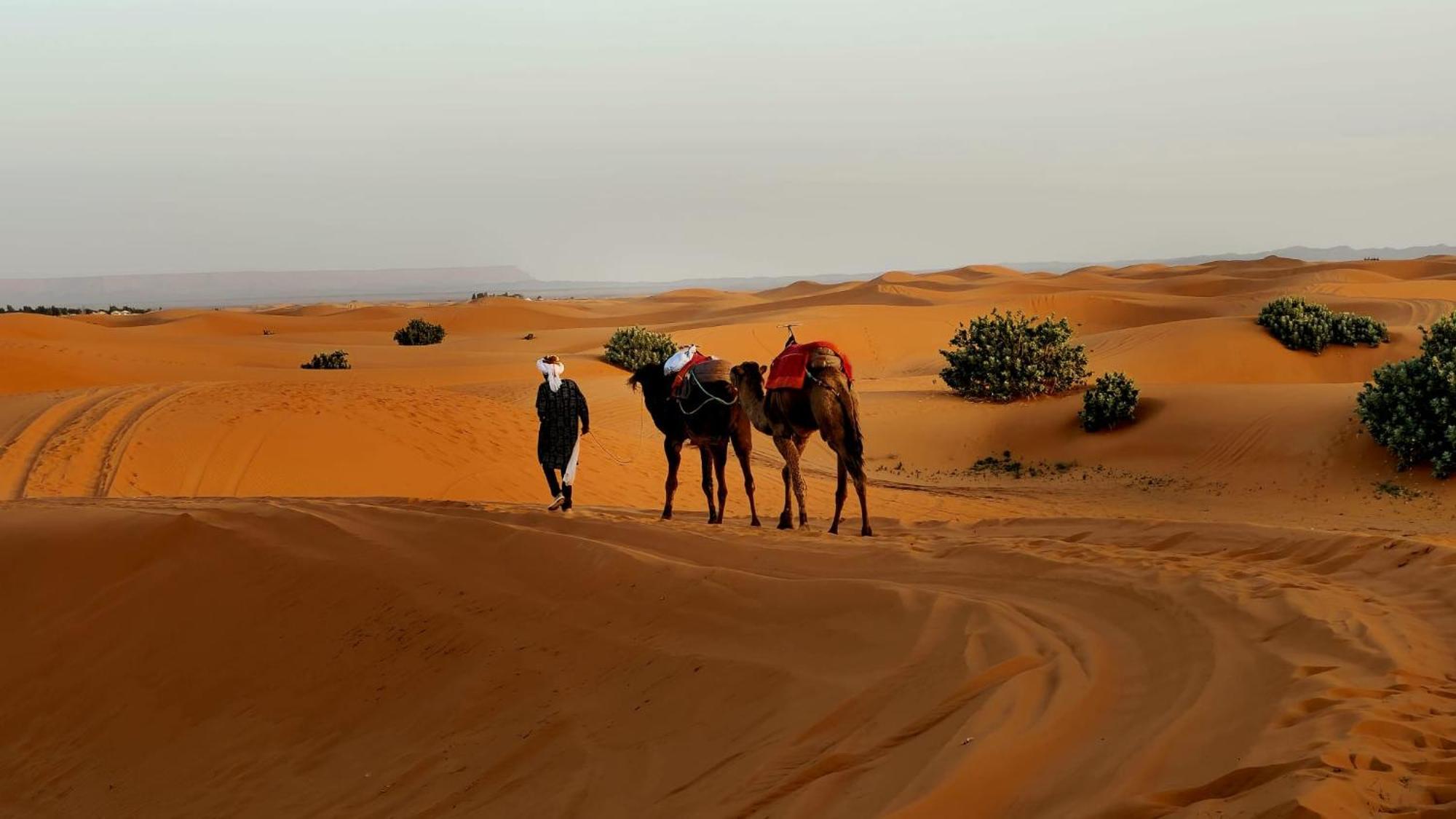 ホテル Camp Familia Erg Chebbi メルズーガ エクステリア 写真